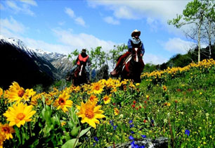 Colorado Horseback Rides, Colorado Horseback Riding