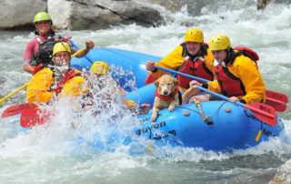 Whitewater rafting on Colorado's Arkansas River Image.