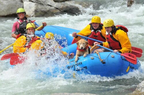 Whitewater rafting on Colorado's Arkansas River Image.