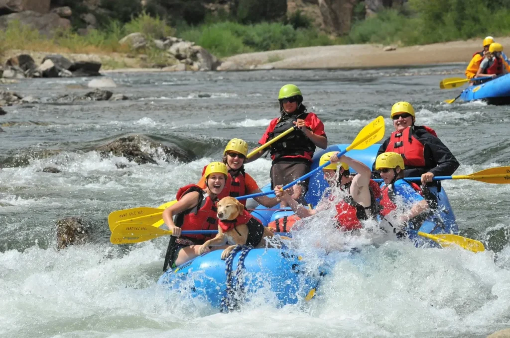 arkansas river rafting complete guide