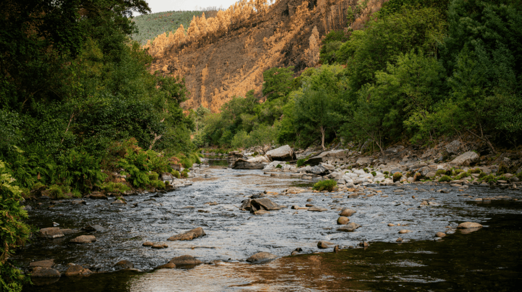 scenic wildlife on browns canyon rafting trips