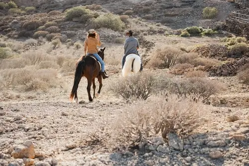 Horseback riding near Buena Vista Colorado through high desert landscape near the Arkansas River