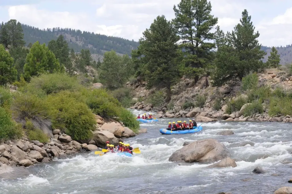 Scenic stretch of Browns Canyon with pine forests, granite cliffs, and the Arkansas River in Colorado
