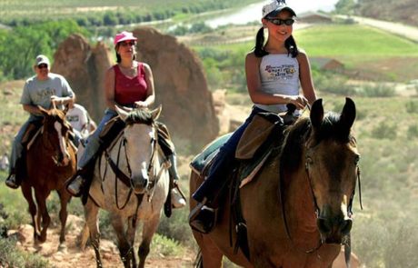 Colorado horseback trail rides buena vista